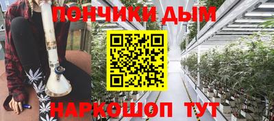 крисы Гагарин