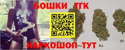 крисы Гатчина