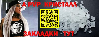 крисы Гатчина