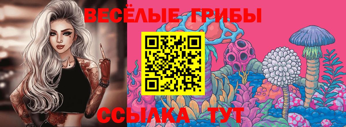 Галлюциногенные грибы Cubensis Михайловск