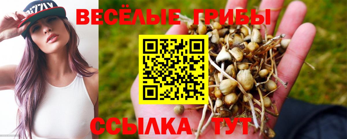 Михайловск  Галлюциногенные грибы Psilocybine cubensis  купить  цена  Галлюциногенные грибы MAGIC MUSHROOMS  Вход с VPN 